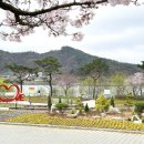 자연공원 이미지