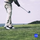 우즈골프연습장 이미지