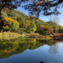 서운동산 이미지