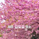 선흘1리낙선동경로당 이미지