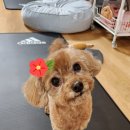 삼성1로5길 이미지