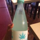 항하리짚 이미지