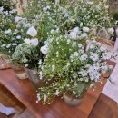 부안도깨비(15회차) | [미소꽃예술학원]🤍우아함의 극치!🕊️ "버드케이지" 유러피안과정 4회차 후기