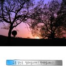 그루밍선데이 이미지