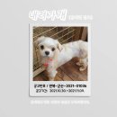 군산시-01036 이미지