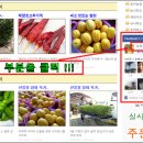 창욱농장 티스토리
