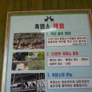 토종흑염소농장 이미지