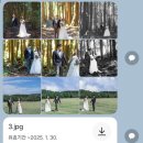 까사보니따 스튜디오 | W7. 제주도 웨딩 스냅 | 턱시도 드레스 대여 포함 가성비 제주 스냅 촬영 후기 + 업체 선정 시 주의사항