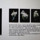 제나할러웨이 워터베이비전 이미지