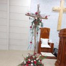 주일농장 이미지