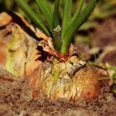 주식회사 모두에프앤비 이미지