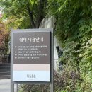 행복나무유치원-1구간 | 2025 화담숲 실시간 단풍, 1구간~2구간 모노레일, 화담채 방문 후기