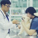 건강하게동물병원 이미지