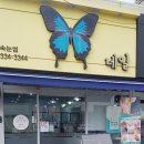 고미발톱 이미지