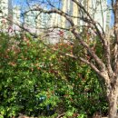 주공당구클럽 이미지