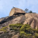 화정천동로 이미지