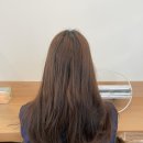 메이봄헤어강남 - 서초구 강남대로69길 8 | [메이봄헤어 강남 본점]톤 다운 염색 & 레이어드컷 후기