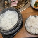 촌돼지 이미지