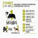 불불이족발 - 파주시 엘씨디로241번길 8-8 | 불불이족발