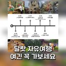 달랏 자유여행 2탄 가볼만한곳 추천 (크레이지하우스, 다딴라 알파인코스터, 동화나라와이너리) 후기
