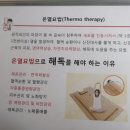 해독365