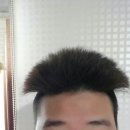블럭 Daum카페