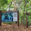 용인시 경계 이미지