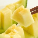 용수골황토사우나 이미지