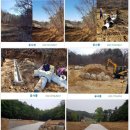 여주-0015 Daum카페