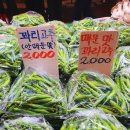 늘푸른야채 네이버블로그