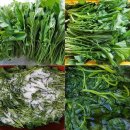 옥계경계지역 이미지