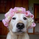 외출준비 이미지