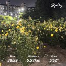 칠팔구가보자 | 2026 week 23 가벼운 노크