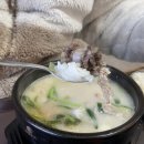 용길이네 국밥집 경북도청점 네이버블로그