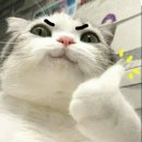 키넷필라테스