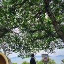 제주할망횟집 이미지