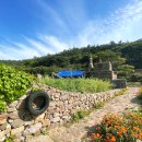 박득순미술관 이미지