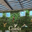 이색영정 | 6박 9일 신혼여행 후기 _모리셔스 여행기 1탄[카젤라파크, 럭스르몽]