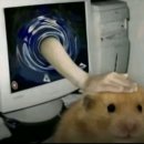 똥빼노래연습장 | 햄스터는 고래의 세포 하나 같다