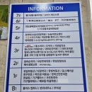 포인트골프크리닉 | [이수역골프레슨] 40년 경력 노하우로 배우는 사당골프레슨 두성골프클리닉 7번 아이언 원포인트 레슨 후기