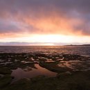 바보기계 이미지