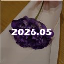 성민도서관 | 26년 5월 : 현실로 돌아왔니? 할 일을 하자