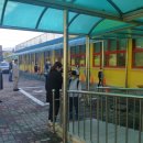 도평초등학교 이미지