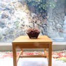 제주클래식위미 이미지