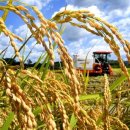 푸른노을 이미지