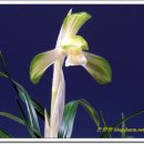 정화산업 이미지