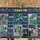 순포습지 | 강릉 순포습지 순포해변 산책 - 한적한 강릉 겨울 여행지 추천