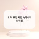 자전거펜션 이미지