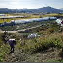 백운면사무소 이미지