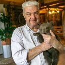 아기곰스튜디오 이미지